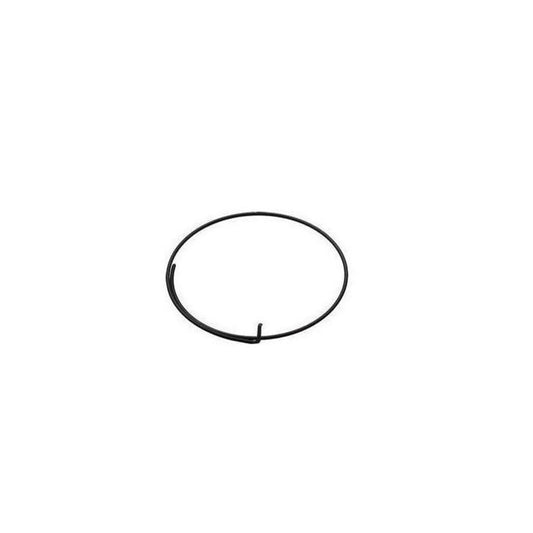 Campagnolo/ Fulcrum Freehub Body Pawl Spring (Each)