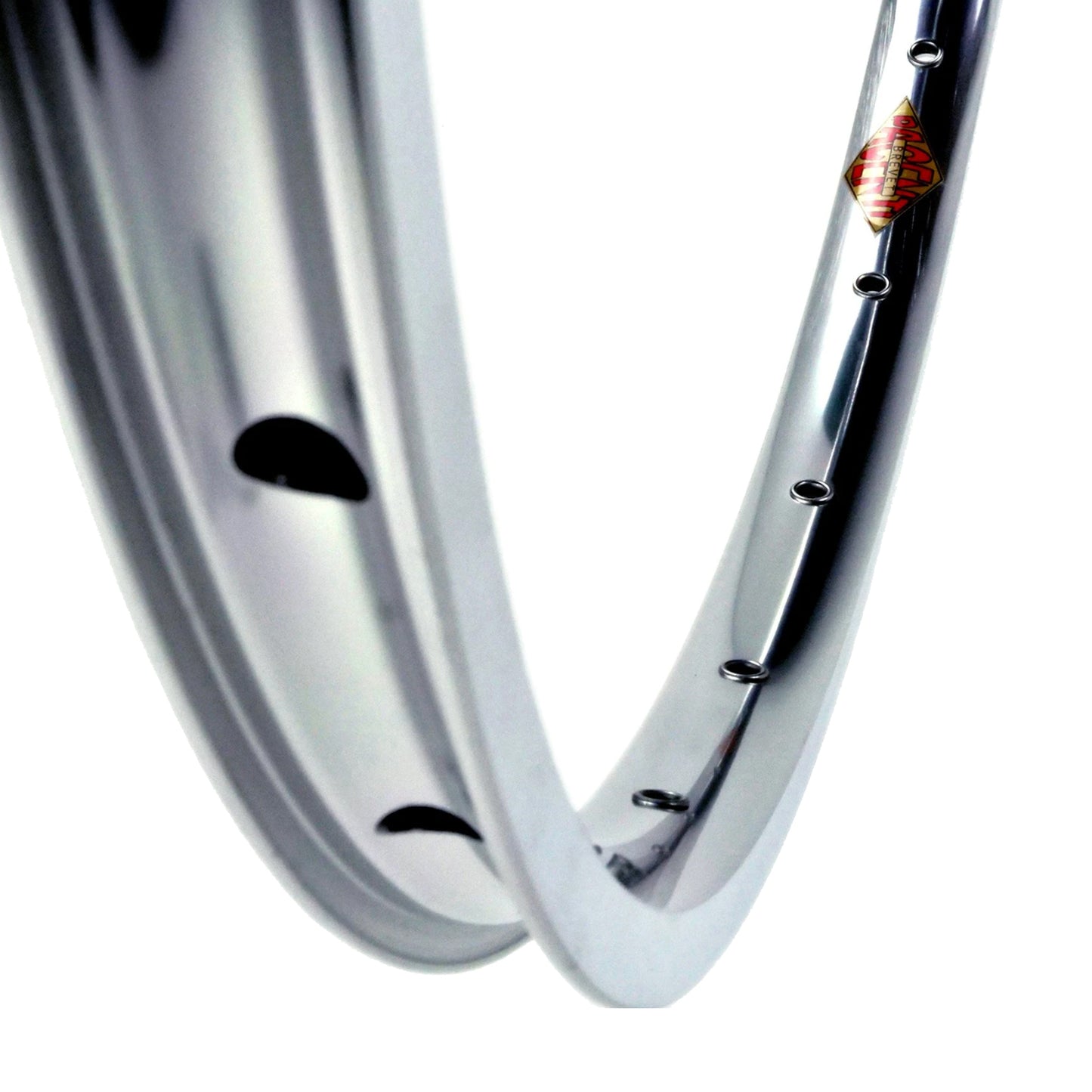Pacenti Brevet Rim