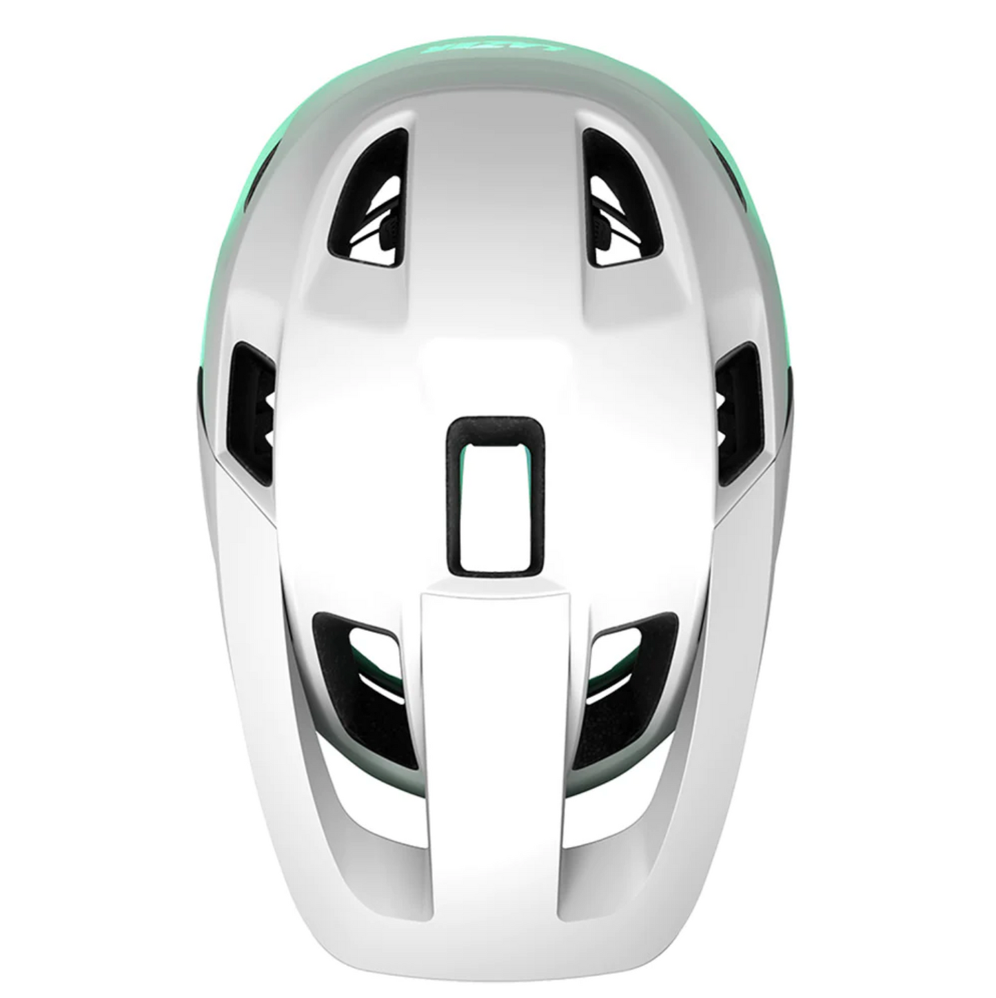 Lazer Finch Kineticore