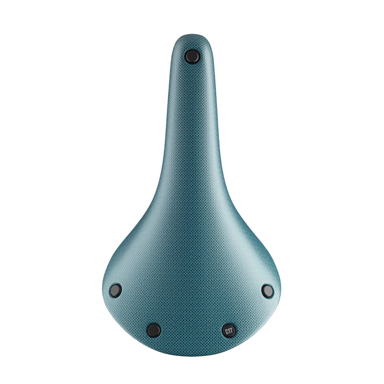 Brooks Cambium C17 Saddle